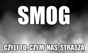 Read more about the article Smog, czyli to,czym nas straszą.