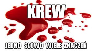 Read more about the article Krew – jedno słowo wiele znaczeń.